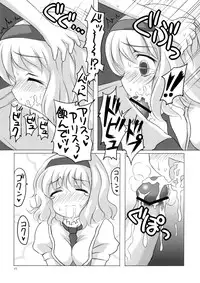 (Kouroumu 3) [Tonkotsu (Sekiri, Yassy)] Alice Idiri (Touhou Project)