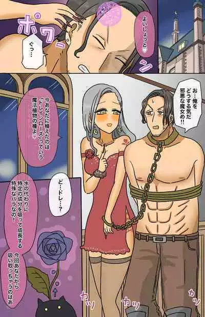 Toaru Senshi no Seitenkan