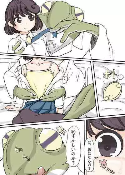 Butterfly Kamen Kanketsu Hen