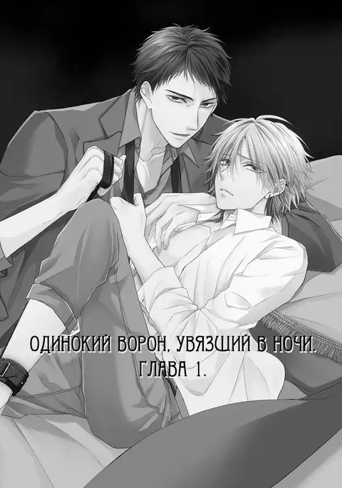 Samishii Karasu ga Oboreru Yoru