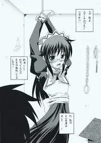 (C73) [RED RIBBON REVENGER (Makoushi, Taireru)] Maid-san tachi no Junan (Hayate no Gotoku!)