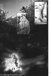 X The Dark Legend of Zelda