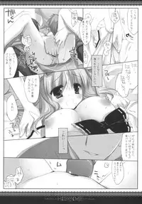 (SC48) [CHRONOLOG, D.N.A.Lab. (Sakurazawa Izumi, Miyasu Risa)] HIDOIME (Touhou Project)