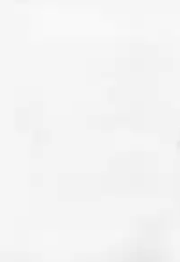 (C42) [PAN House (Mongoloid Ren, Hagiwara Reiko)] Mint Strawberry (Bishoujo Senshi Sailor Moon)