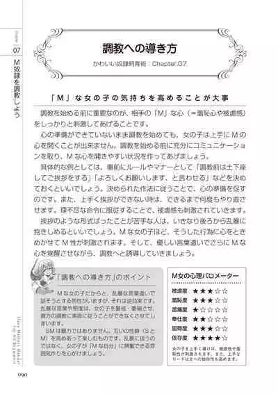 Zero kara Hajimeru SM Manual Kawaii Dorei Shiikujutsu