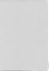 (C74)[Kaikinissyoku (Ayano Naoto)] eclosion (macross frontier)