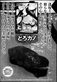 Bishoujo Kakumei KIWAME Road Vol. 14