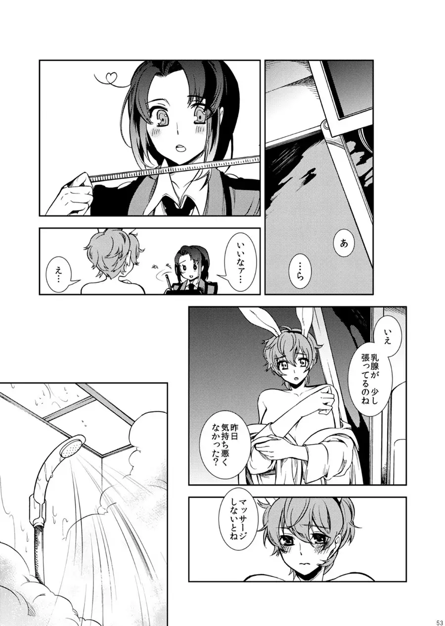 Drosselmeyer no Housekibako