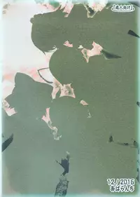 (C91) [Avalanche (ChimaQ)] Baquartet to Otona no Omamagoto! (Touhou Project) [Chinese] [oo君個人漢化]