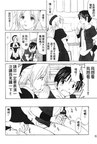 [Trochilidae] fighting queen 3 [Chiense]