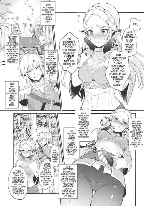 Hyrule Hanei no Tame no Katsudou! | Activities for the Sake of Hyrule’s Future!