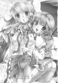 (Reitaisai 7) [Mikazuki Ondo (Hayashida Toranosuke)] Black Snake (Touhou Project)