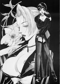 (C56) [Tail of Nearly (Various)] Shadow Defence 17 (Street Fighter)