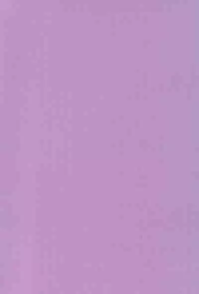 Saidaikyuu no Munasawagi