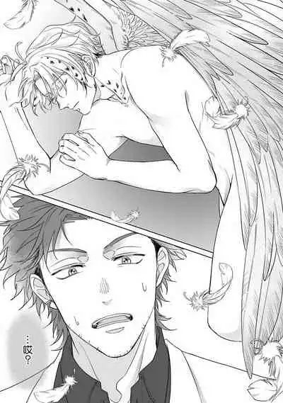 Fukurou no Koiwazurai | 猫头鹰的相思病