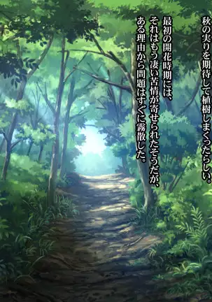 Onanie Gurui no J○ to Shirudaku SEX