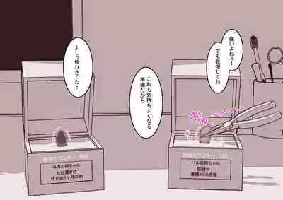 [Hachihachihachi] Cli Box ni Batta Onee-chan-tachi no Cli o Ijiri Taosu