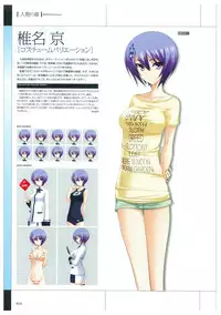 Maji de Watashi ni Koi Shinasai Visual Fan Book