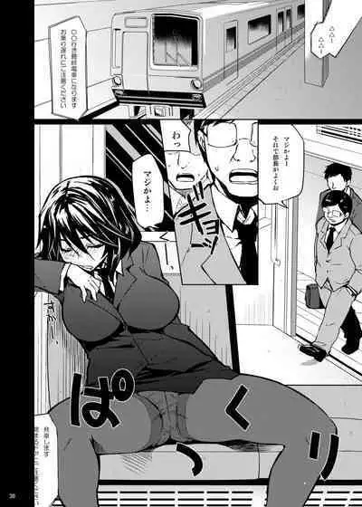 [CHIBIKKO KINGDOM (Kekocha)] ShuuDen x Deisui x Chifuyu-nee (IS <Infinite Stratos>) + afterstory