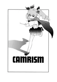 (COMIC1☆13) [Camrism (Kito Sakeru)] Anchovy Nee-san no Bouillon Panty Sakusen-ssu! (Girls und Panzer) [English] [DITSHICK]