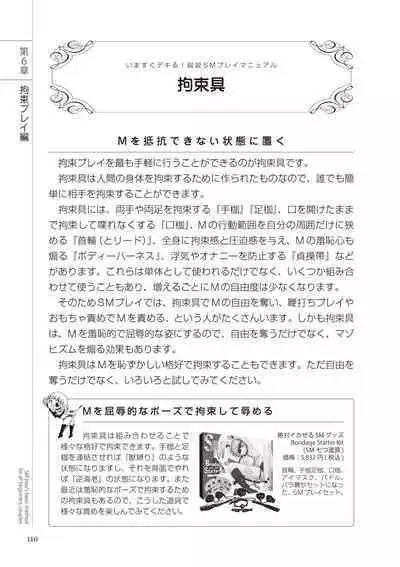 いますぐデキる 図説SMプレイマニュアル