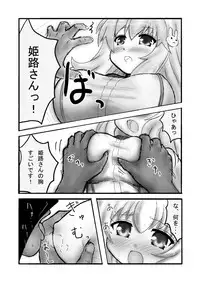 [Hard Chrome] Himeji-san no Oppai wo Dounikasuru Hon (Baka to Test to Shoukanju)