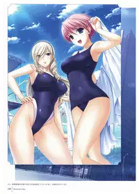 Walkure Romanze Visual Fan Book