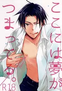 (C88) [Nekoya (Neiko)] Koko ni wa Yume ga Tsumatteru. (Kuroko no Basuke)