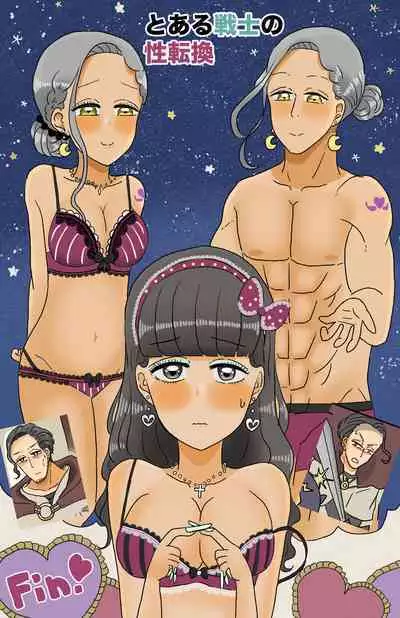 Toaru Senshi no Seitenkan