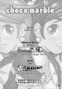 (C66) [Medical Berry (ha-ru, SFIX)] choco marble (Futari wa Precure)
