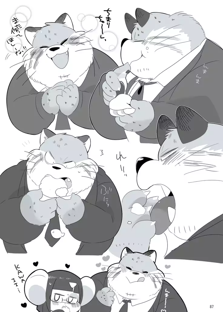 Everybody Loves Cat President!