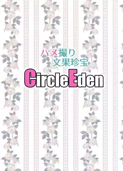 (C93) [Circle Eden (Diisuke)] Hamedori Bunka Chinpou (Touhou Project) [Chinese] [不可视汉化]
