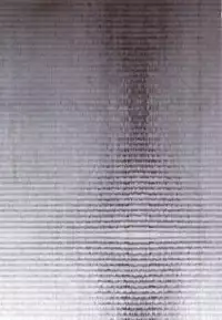 (Futaket 10.5) [Sakusaku Kangen Noushuku (Matashita Kintama)] Haitoku Josou Otouto no Inran Jojishi - Jikka Hen [Chinese] [空想少年汉化]