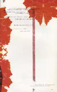 [YELLOW TAG (Hakua Ugetsu)] Parhelia Flagment flag2