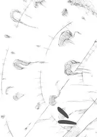 [binf] Tenshi-chan Boufuku Taikyuu Jikken ~Haretsu Hen 2~ (Touhou Project) [Digital]