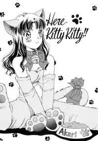 [The Amanoja9] Feti Ningyou twin