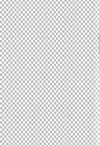 (C76) [TetRIA {Maigo Soldire, datche)] Paradise Lesson (Togainu no Chi)