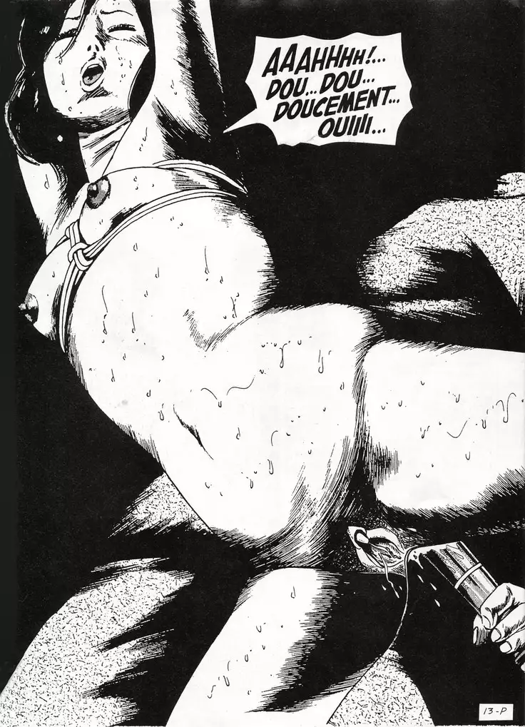 La nouvelle petite bonne