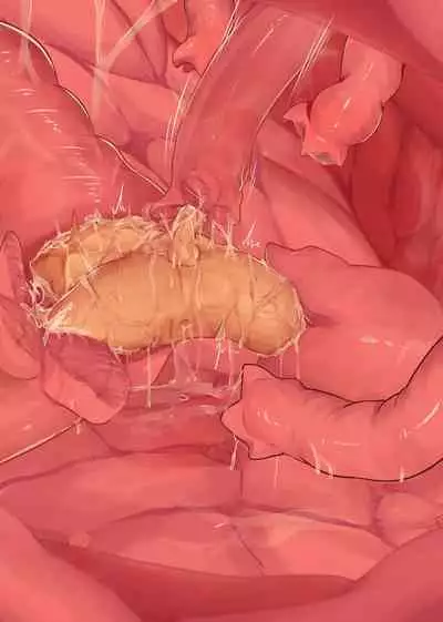 Shokushu Teien | Tentacle Garden