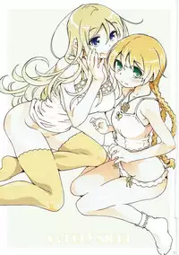 (COMIC1☆11) [OPEN BOOK (Toumi Haruka)] S & HOLY NIGHT (Sword World 2.0)