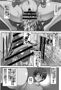 [Mikoshiro Honnin] Botai Hamersu