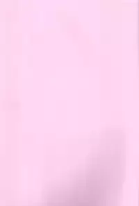 (COMIC1☆9) [Sekai Kakumei Club (Ozawa Reido)] Kira Mina Escalation (Go! Princess PreCure)