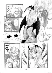 [Alice Syndrome (Nishiki Yoshimune)] Shine of Darkness (Darkstalkers)