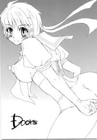 (C68) [Sarurururu (Doru Riheko)] Holic 5 Doors (Street Fighter)