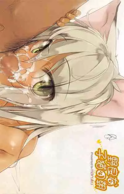 COMIC Megastore H 2010-12