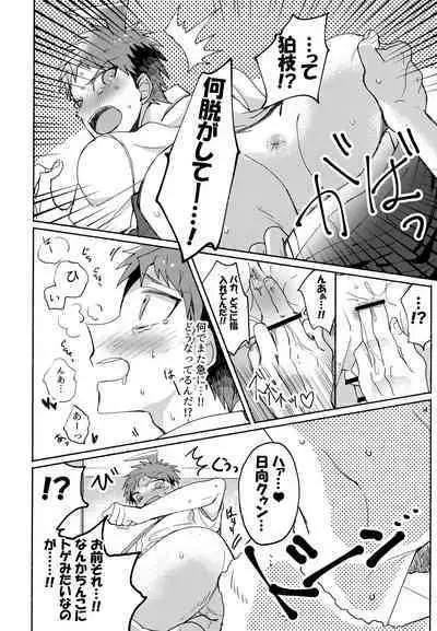 Komahi Sairoku Hon Star Peace