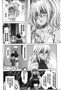 [Hori Hiroaki] Mesuochi Z ~Kyousei Ninkatsu Haigou Zukan~ | 淫牝墮落Z ~強制妊活配合図鑑~ [Chinese]