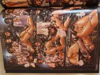 masamune shirow w tails cat 1