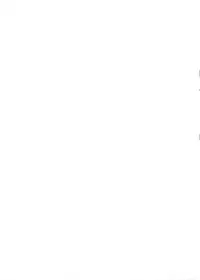 (C80) [SAZ (soba)] Okitsune-sama no Oinari Mairi (Dog Days)