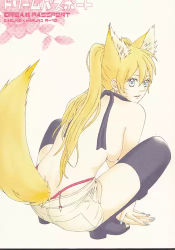 Dream Passport ongoing